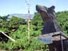 秘境の密林の巨大生物