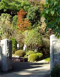 門