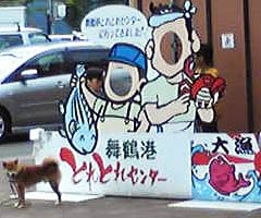 舞鶴港とれとれセンター