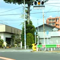 トトロ(大)