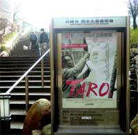 TARO