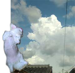 入道雲と犬