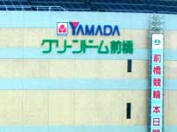 YAMADAO[h[O