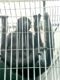 eiKU̒