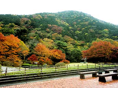 借景