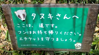 タヌキさんへ フンをお持ち帰るください。