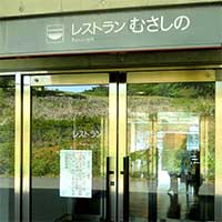 Xgނ̓