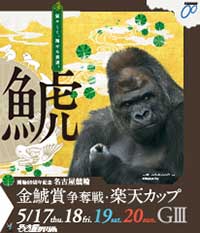 イケメンゴリラ