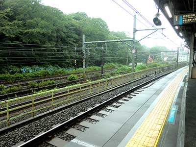 雨