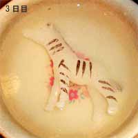 3日目