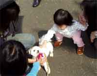 犬